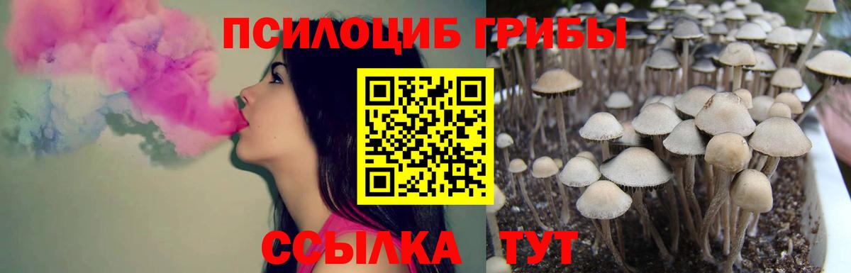 Ростов Великий  Галлюциногенные грибы Cubensis  Вход с VPN  наркошоп  Галлюциногенные грибы ЛСД 